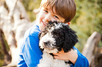 Pet photographer sheffield