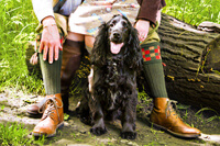 Pet photographer sheffield