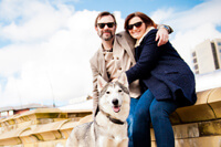 Dog photo shoot sheffield