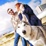 Nooshka pet photograph